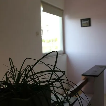 Cozyplace Zadar Exterior photo